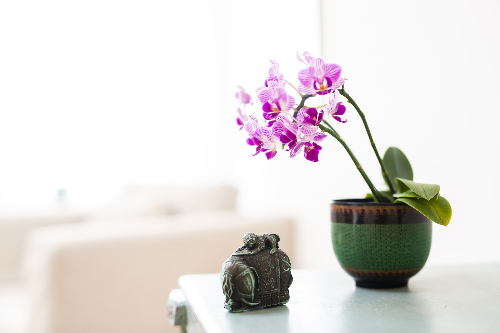 Impressionen aus der Praxis 4: Orchidee auf einer Komode